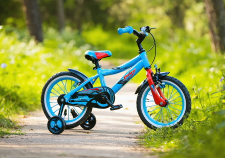 découvrez la draisienne puky lr xl, la meilleure compagne pour les jeunes explorateurs en herbe, alliant sécurité, confort et plaisir d'apprendre à vélo dès le plus jeune âge.